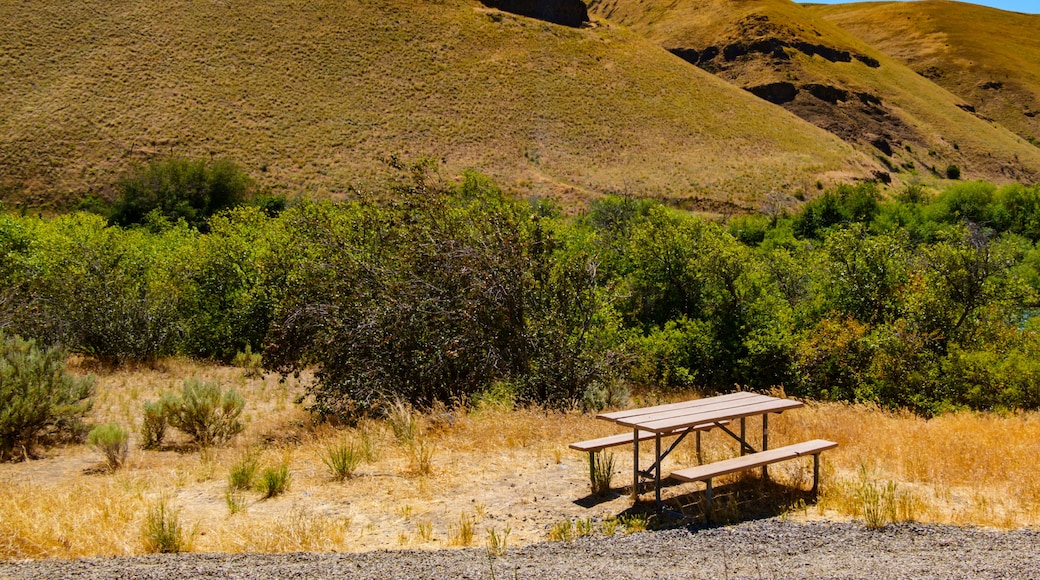 Picnic table, Umtanum Recreation Site, Yakima Canyon, Washington State, USA.