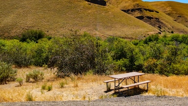 Picnic table, Umtanum Recreation Site, Yakima Canyon, Washington State, USA.