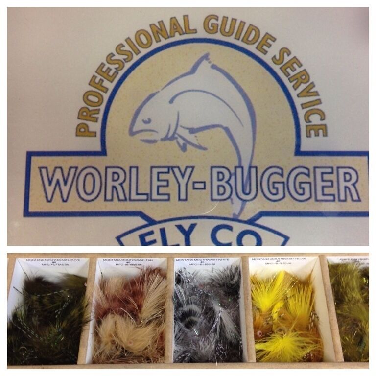 Well stocked shop.  Chat with Steve, he is super generous with advice and a lot of fun.  