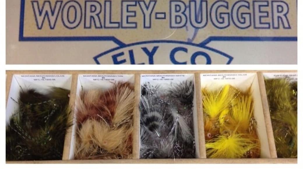 Well stocked shop. Chat with Steve, he is super generous with advice and a lot of fun.