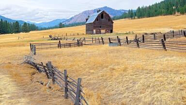 Rural landscape of an old barn in a field.
