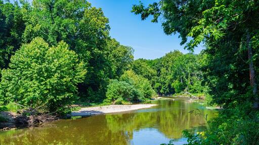 Indian Creek reflections