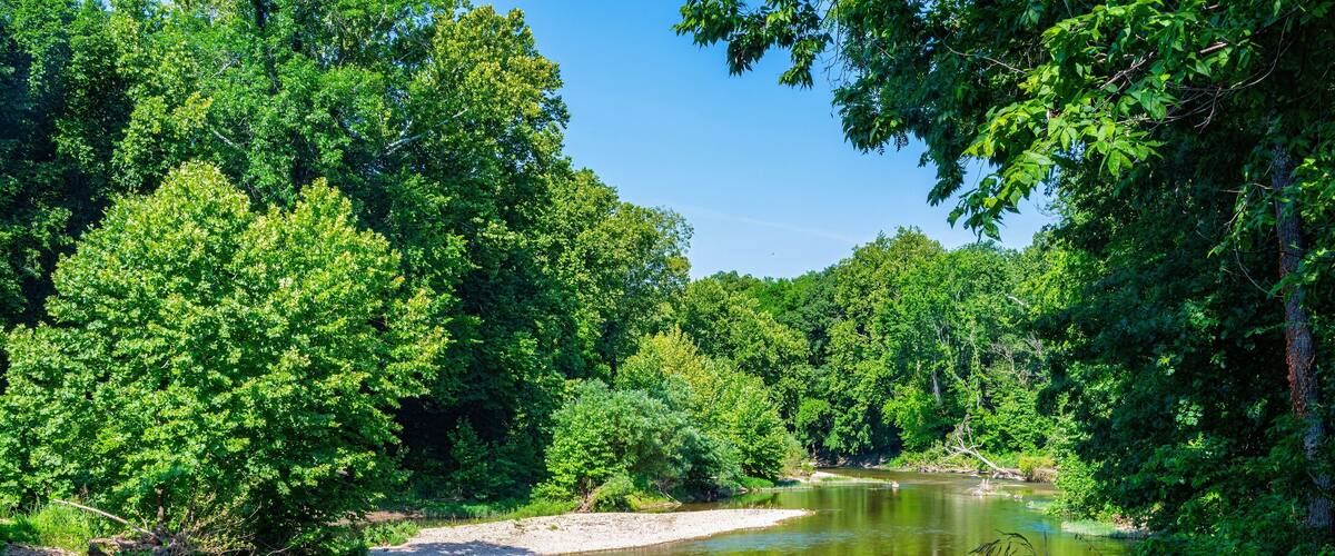 A river surrounded by dense green trees and a clear blue sky.