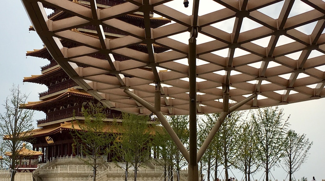 佛丁官,牛首山,南京
Niushoushan, Nan Jing, an awesome architecture design to blend in with the Earth Zen #golden #landscape #nationalpark #hiking #travel #red #architecture #nature #water