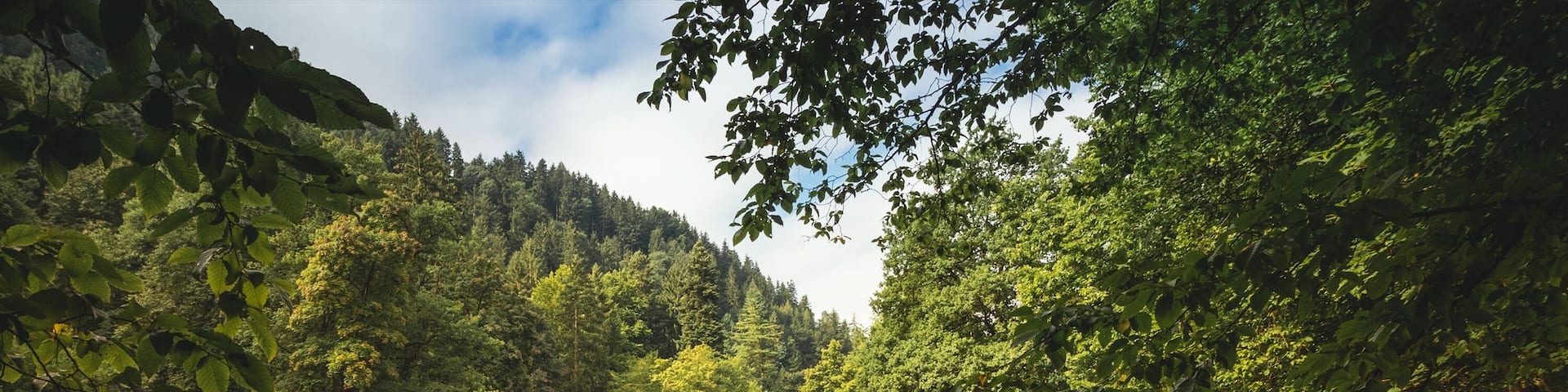 A great place to relax or having a break.