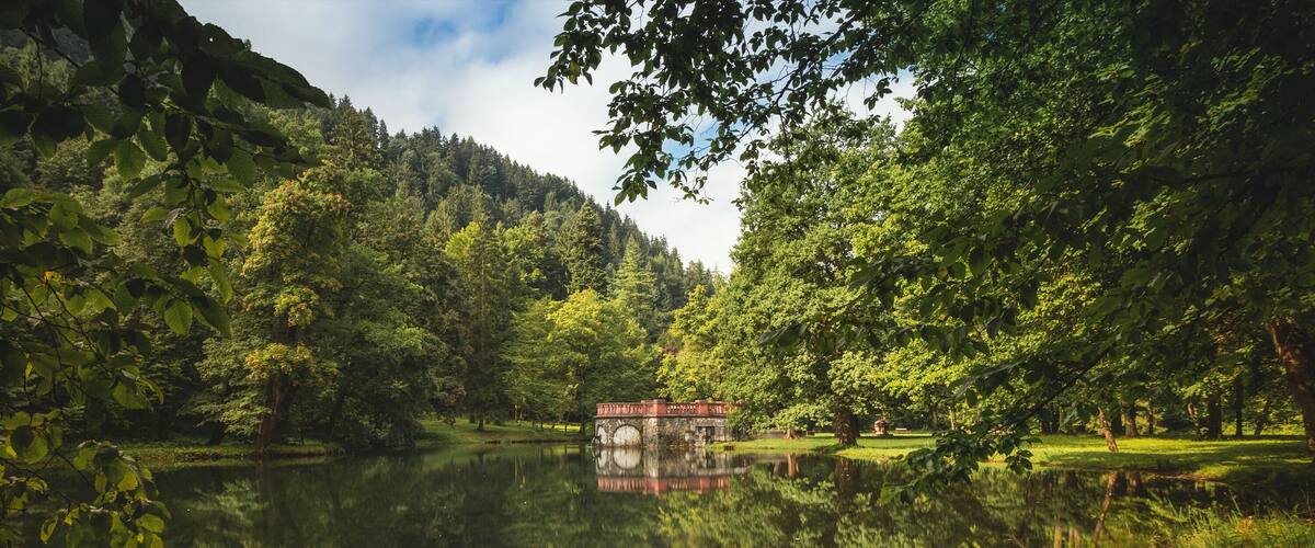 A serene lake with a small bridge and lush greenery.