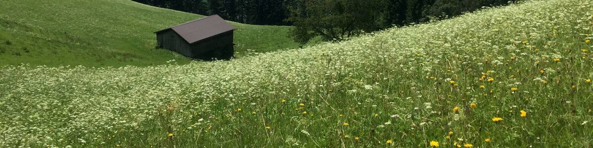 Merveilleux panorama près de reith ( Tyrol)