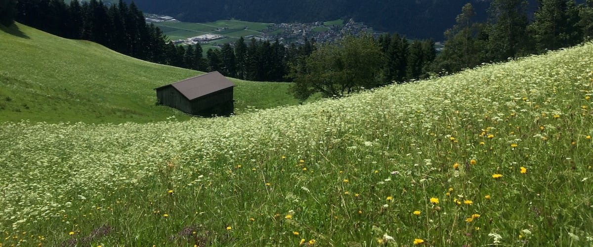 Merveilleux panorama près de reith ( Tyrol)