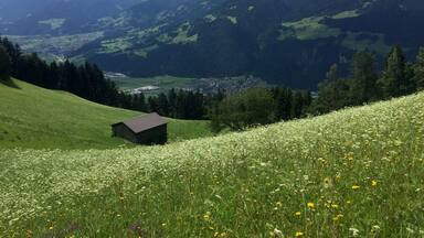 A green field with a small cabin, a valley, and mountains in the background.