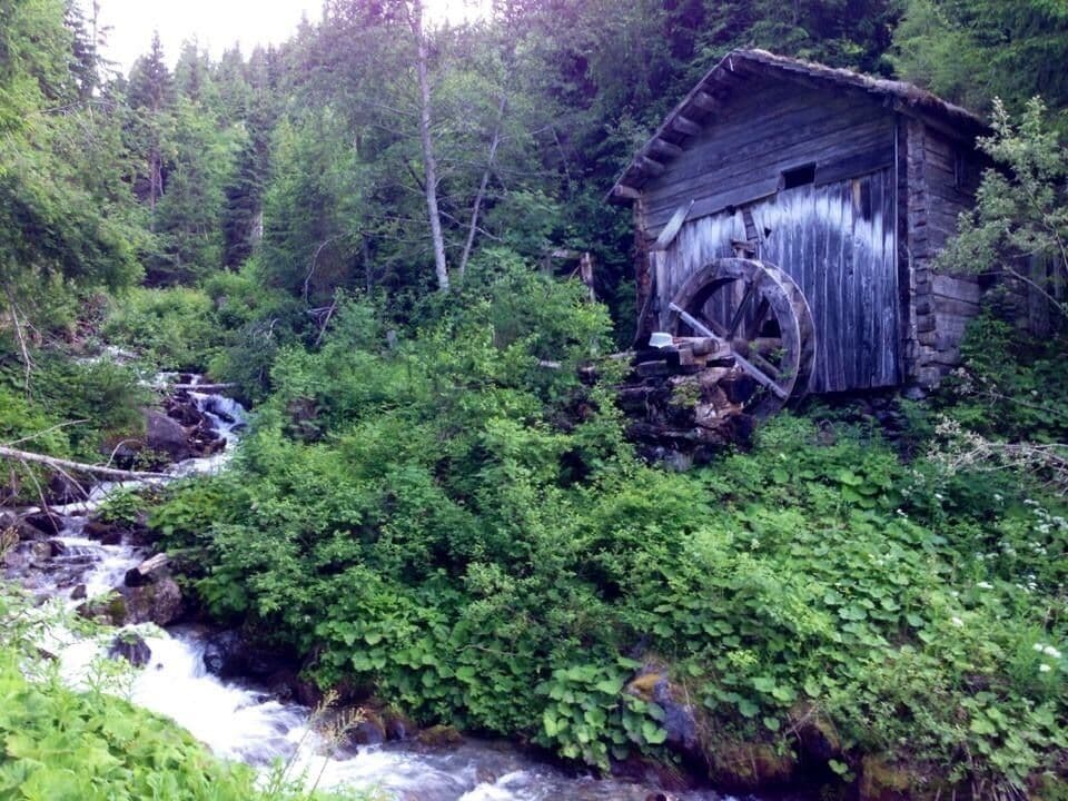 Austria is just as beautiful in the summer as it is in the winter. This quaint little alpine village is is a perfect getaway for a relaxing weekend. From our guesthouse window, we could watch local farmers drying hay by hand. (Picture taken June, 2014)
