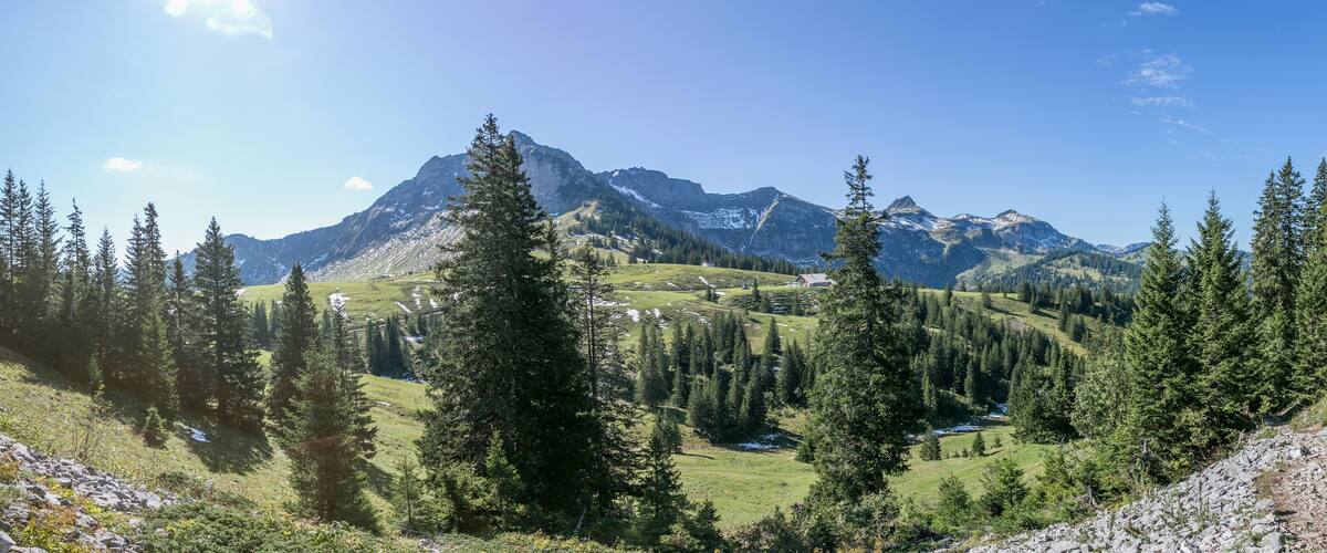 A mountainous landscape with a prominent peak, dense coniferous forest, and a small settlement in the valley.