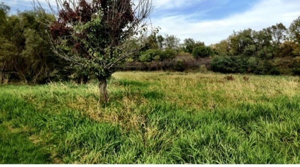 Normally there is a lake here, the drought this summer completely dried it up.