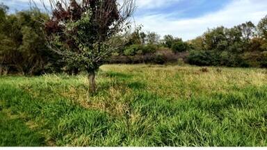 Normally there is a lake here, the drought this summer completely dried it up.