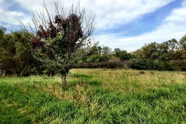 Normally there is a lake here, the drought this summer completely dried it up.