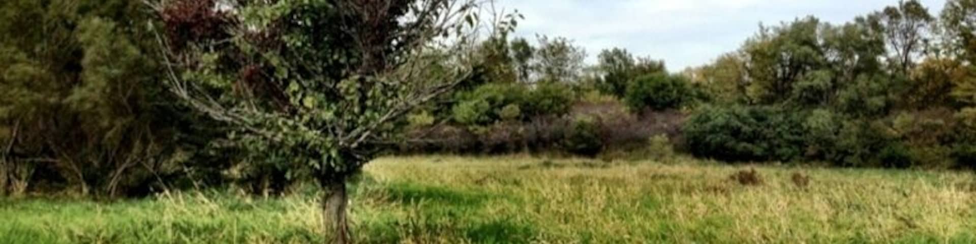Normally there is a lake here, the drought this summer completely dried it up.
