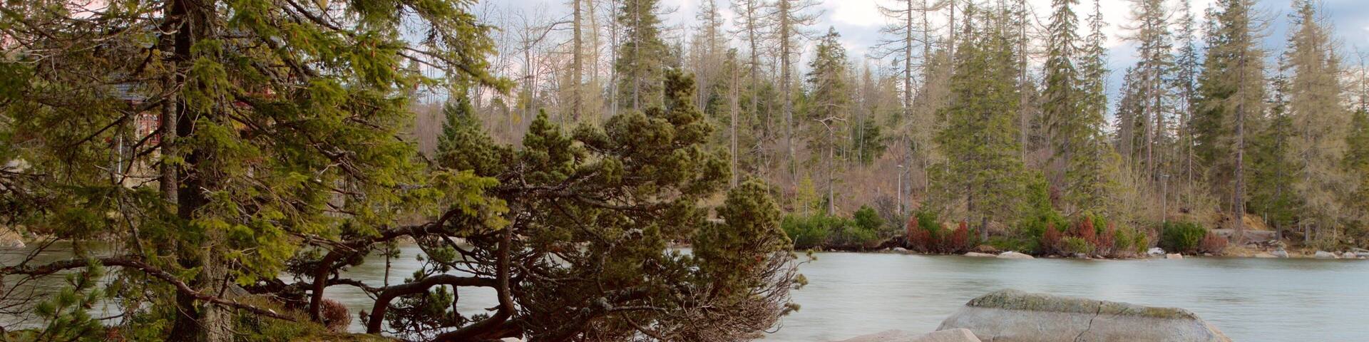 Strbske Pleso showing forests and a lake or waterhole