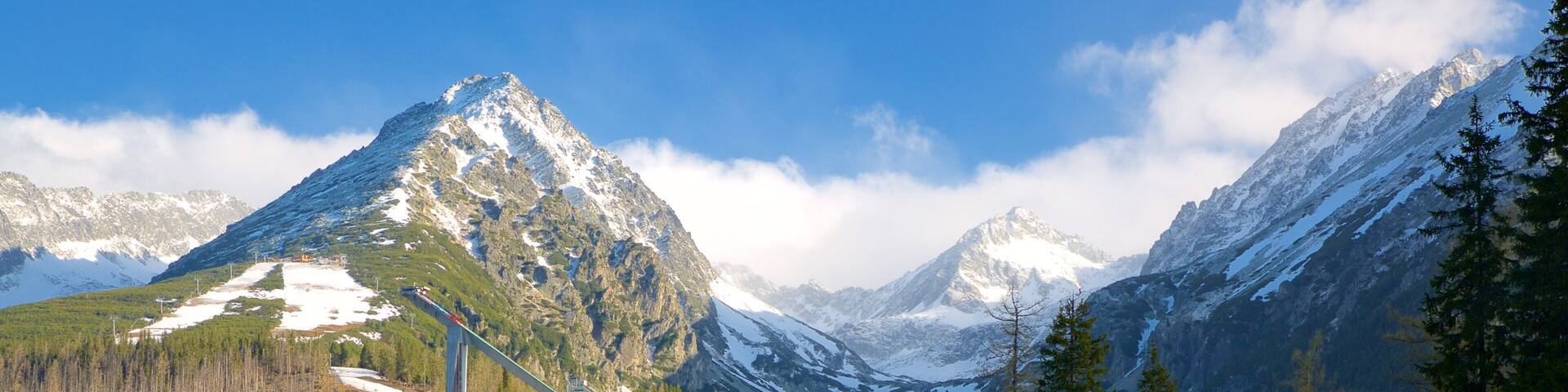 Ć trbskĂ© Pleso das einen Berge, See oder Wasserstelle und Waldmotive