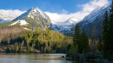 A mountain range with a lake and forested area.