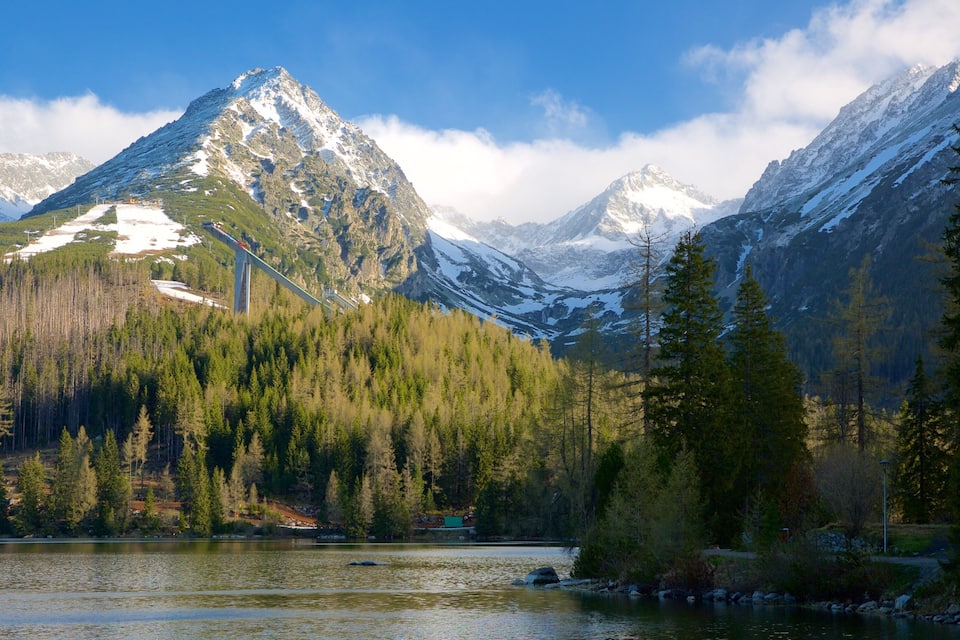 Una cordillera con un lago y zona boscosa.