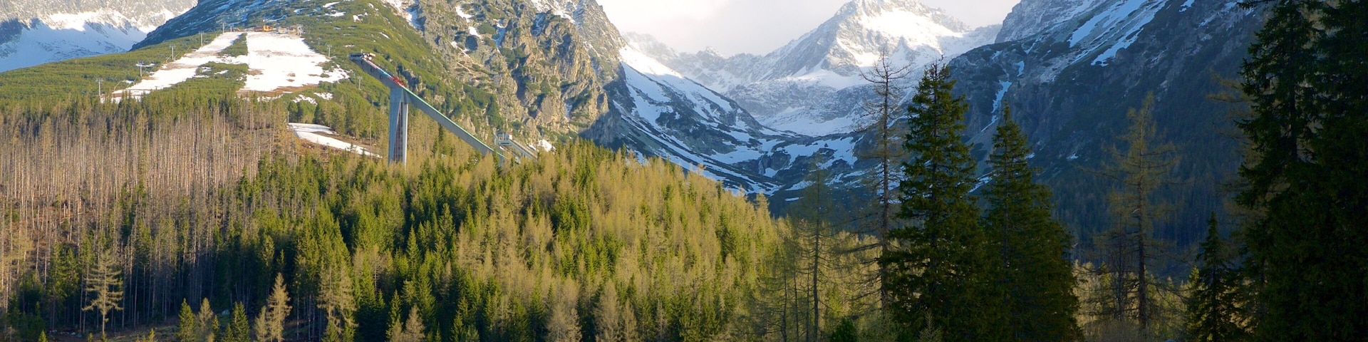 Štrbské Pleso das einen Berge, See oder Wasserstelle und Waldmotive