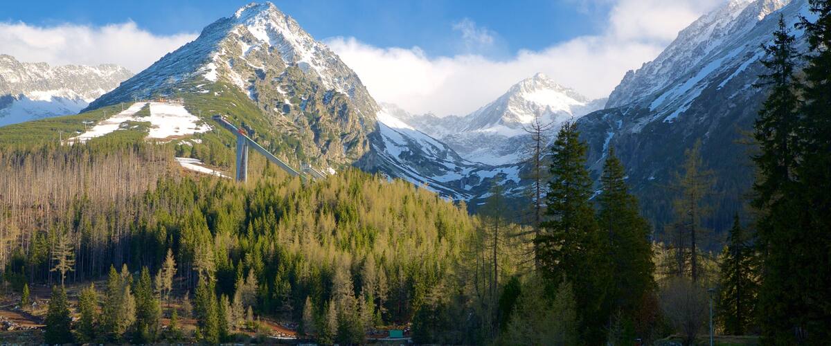 A mountain range with a lake and forested area.