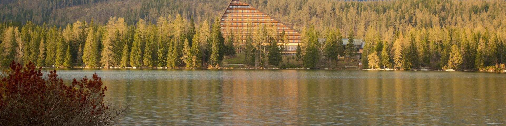 A lodge surrounded by a forest and mountains.