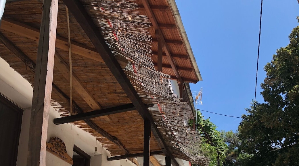 Lovely village Markinitsa in Pelion, Greece