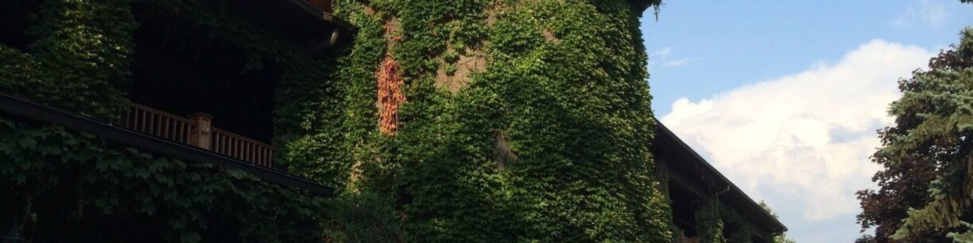 Take a tour and sample a variety of wines at the oldest and largest winery in the state of Illinois.
#localgem