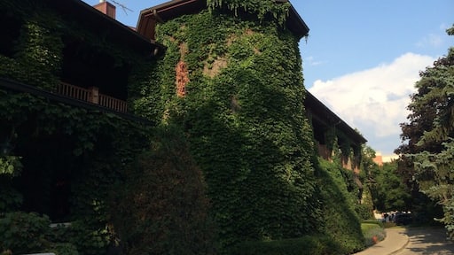 Take a tour and sample a variety of wines at the oldest and largest winery in the state of Illinois.
#localgem