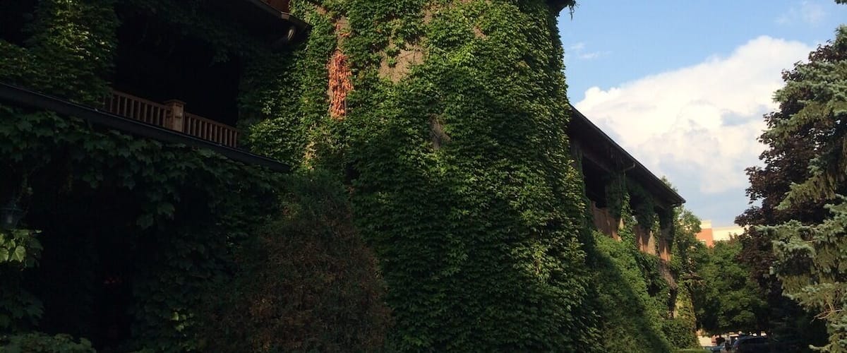 Take a tour and sample a variety of wines at the oldest and largest winery in the state of Illinois.
#localgem