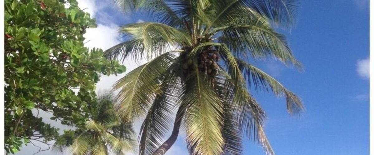 Swing by the restaurants along the water and you'll find amazing views and this washed up sailboat