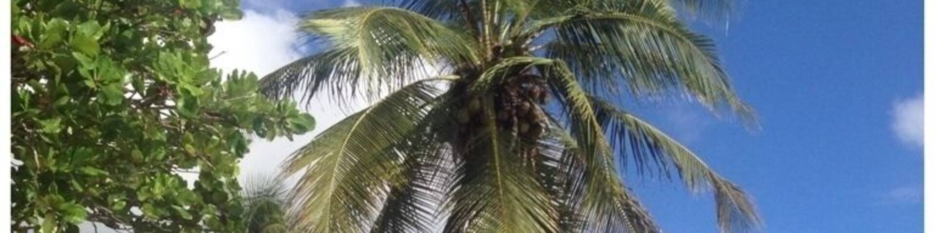 Swing by the restaurants along the water and you'll find amazing views and this washed up sailboat