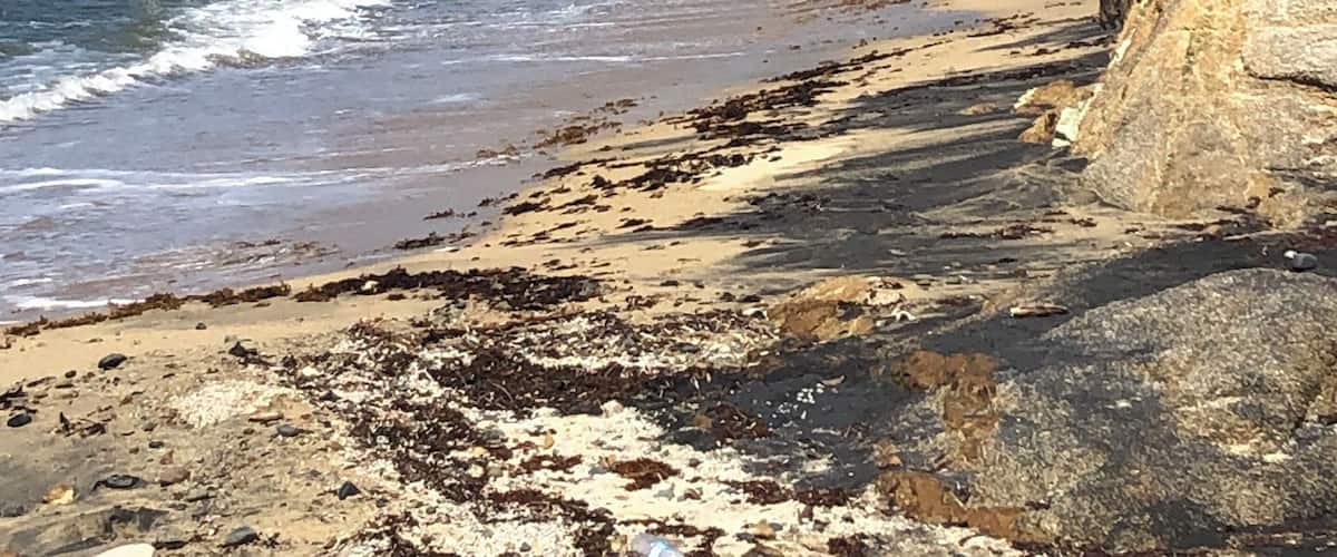A worthwhile 10 min walk down a windy sand covered trail. Beautiful secluded beach.