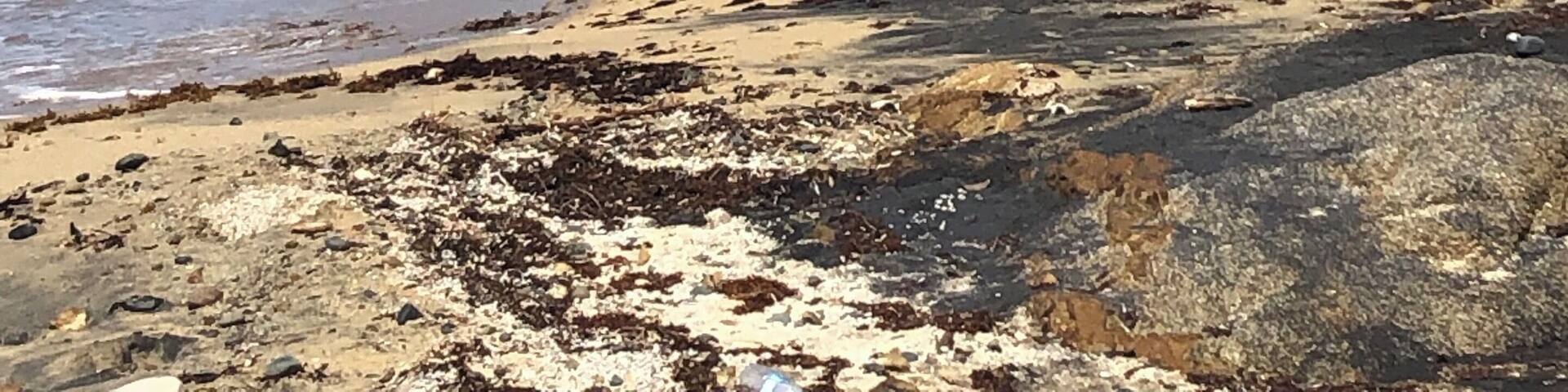 A worthwhile 10 min walk down a windy sand covered trail. Beautiful secluded beach.