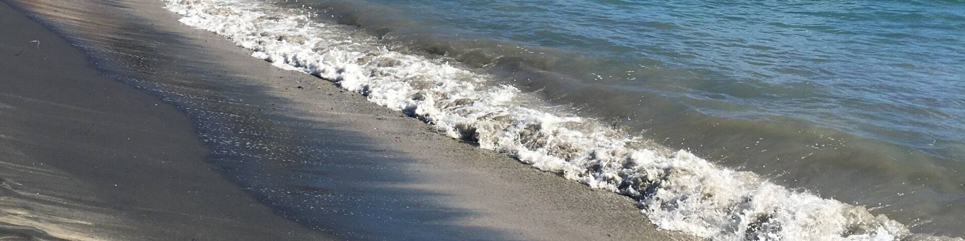 Another view from the shore