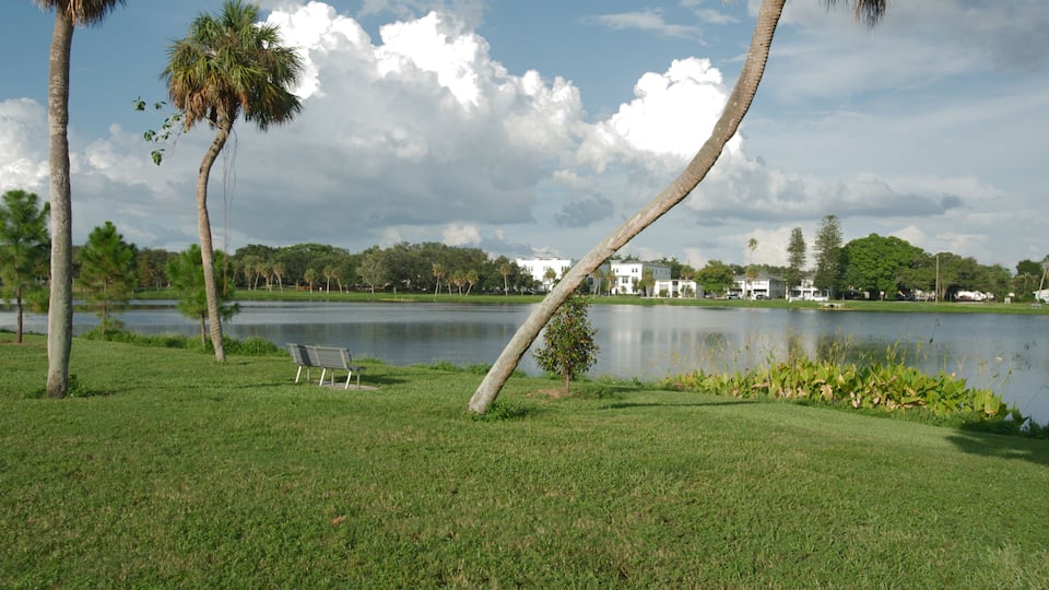 Wide shot Looking north over green grass and palm trees Crescent Lake park in St. petersburg, FL. Green plants and trees in the foreground. Buildings in the back. Partly sunny day with blue sky, gray