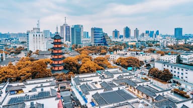 Un paisaje urbano con arquitectura pagoda tradicional rodeada de modernos rascacielos.