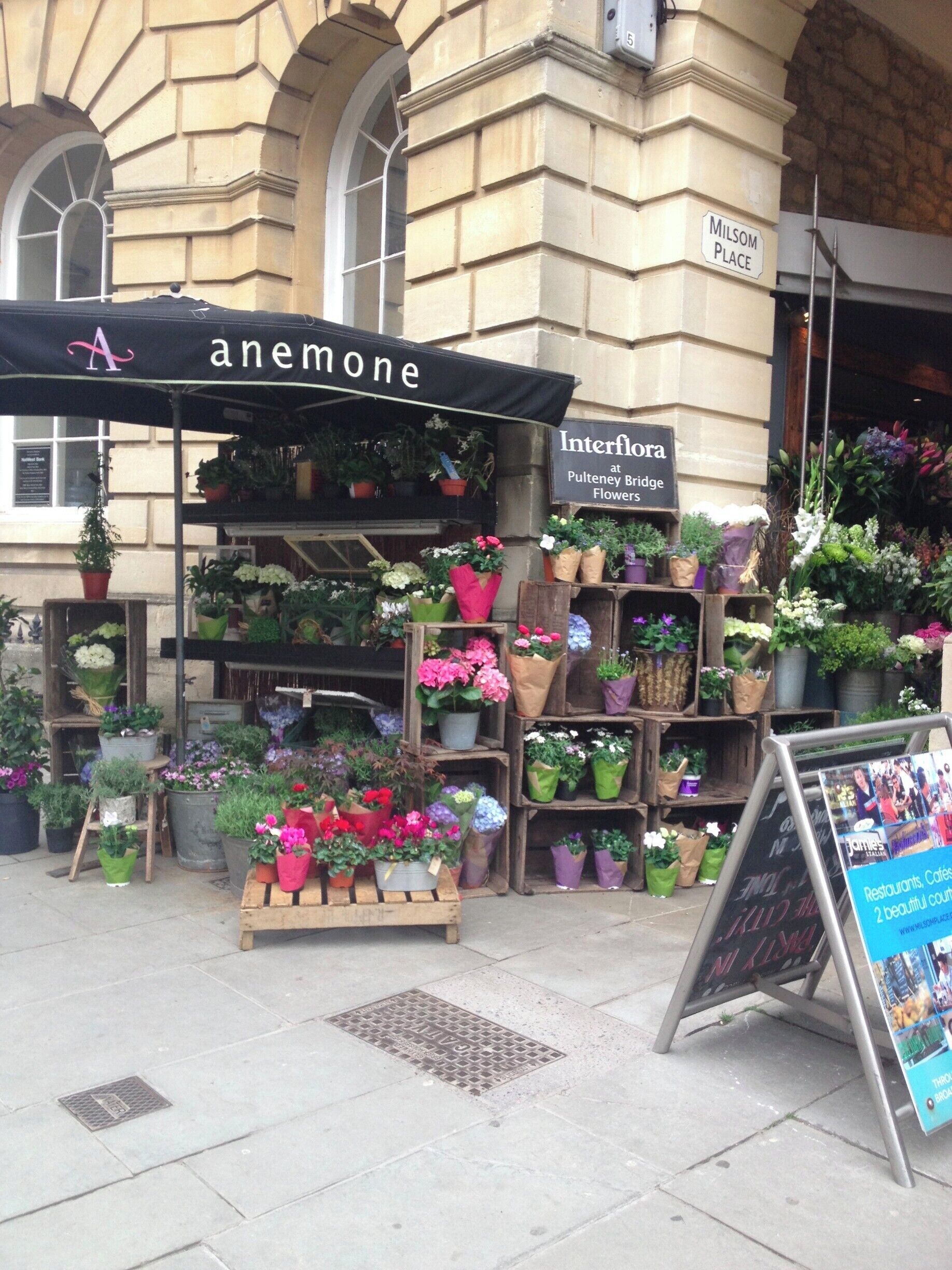 Small beautiful city in the south west of England. Unspoilt Georgian buildings (18th century). Flower seller in Milsom Street, centre of Bath.