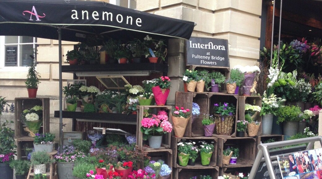 Small beautiful city in the south west of England. Unspoilt Georgian buildings (18th century). Flower seller in Milsom Street, centre of Bath.