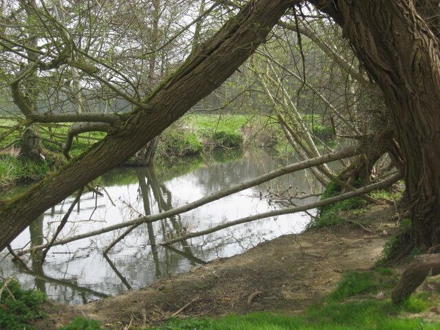 The River Frome