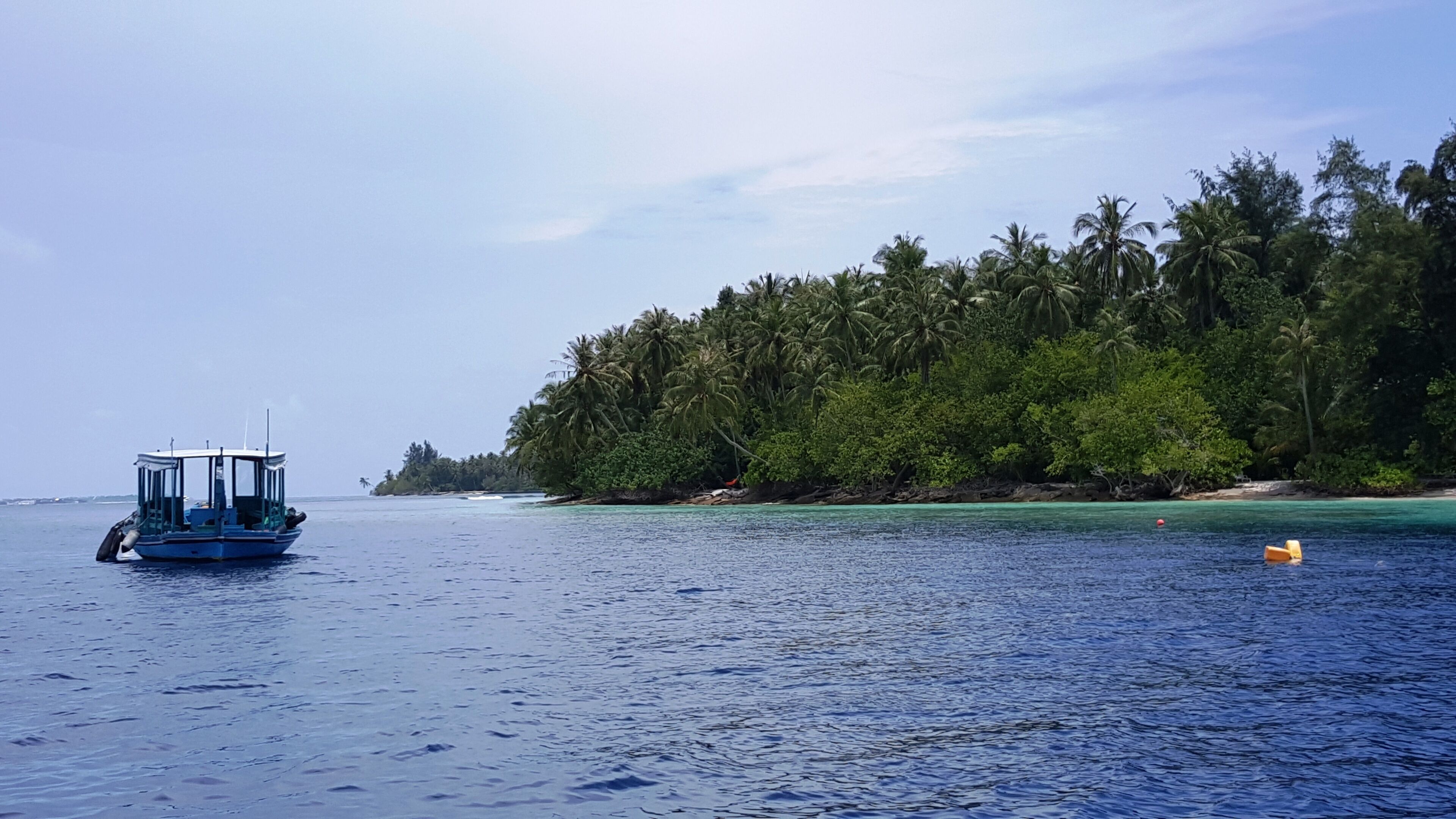 A boat on calm waters, a sandy beach, and a dense palm tree forest.