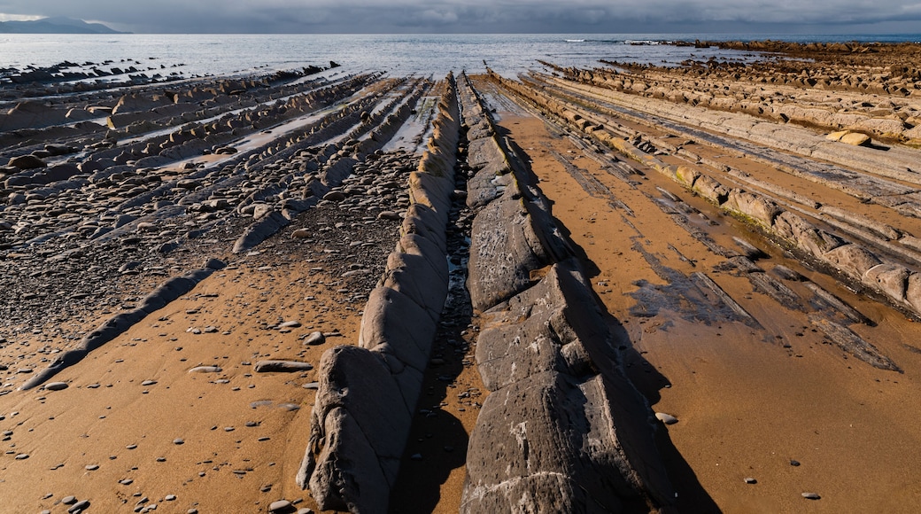 Une plage rocheuse oĂč lâon trouve des formations rocheuses sĂ©dimentaires en couches qui sâĂ©tendent jusquâĂ la mer.