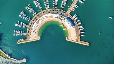 Vista aérea de um porto com muitos barcos atracados em semicírculo.