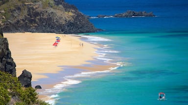 Fernando de Noronha featuring a beach, general coastal views and rugged coastline