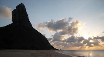 Again.....Fernando....very crowded.