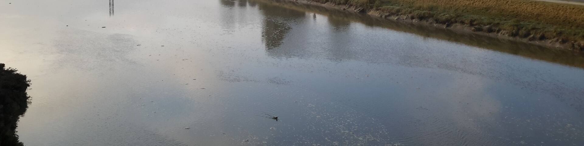 River Camel at Wadebridge.