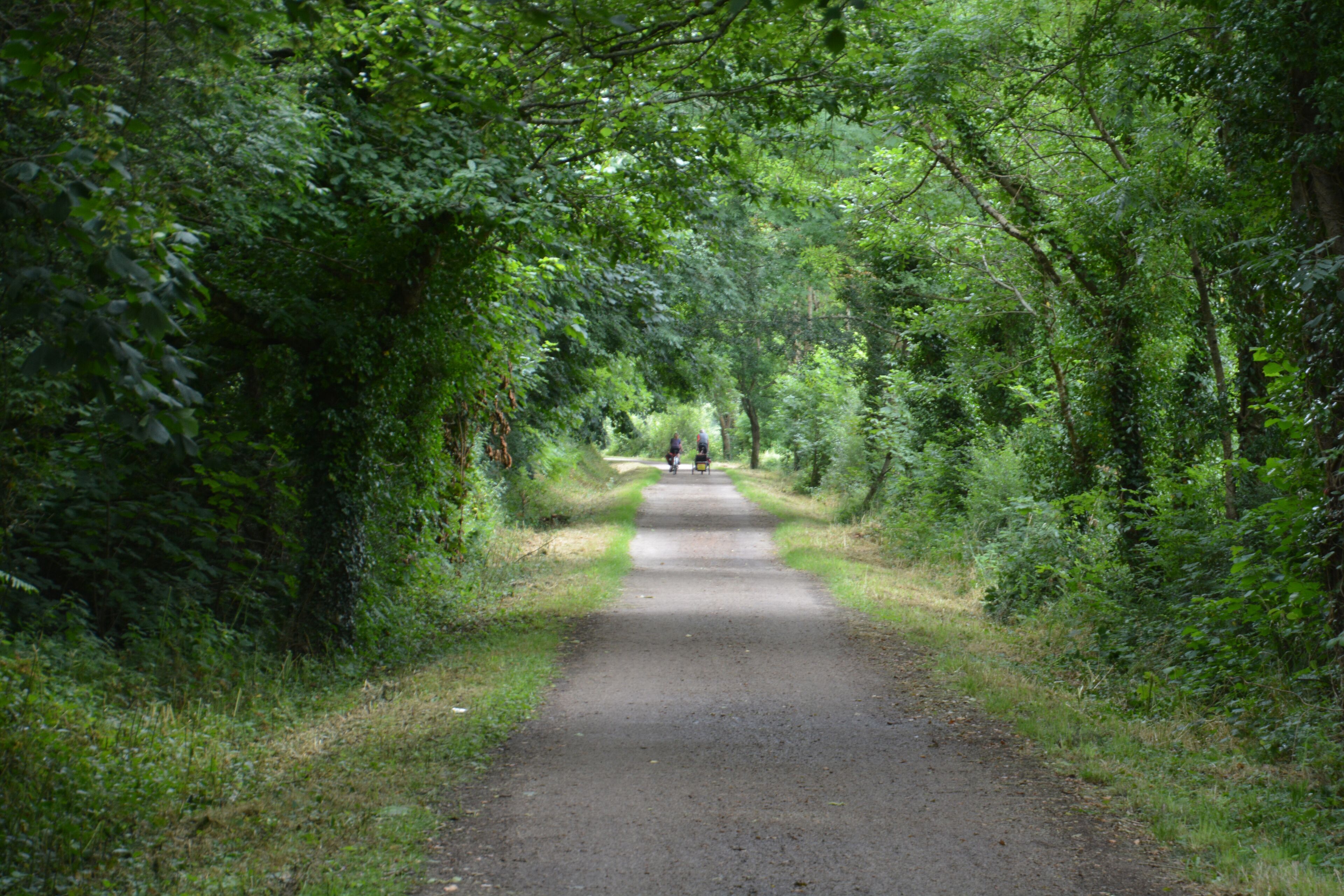 Cornwall : Camel Trail. Heading along a disused railway line between Wenfordbridge, Bodmin, Wadebridge and Padstow.