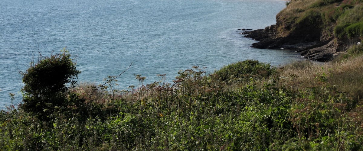 Mündungstrichter des Flusses Camel an der Padstow Bay in Cornwall, England