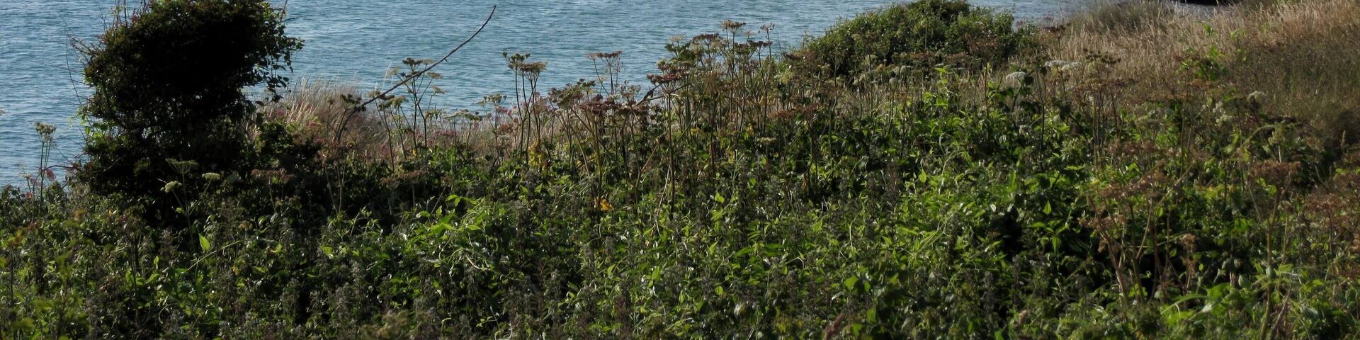 A coastal landscape with a sandy beach, calm sea, grassy cliffs, and distant hills.