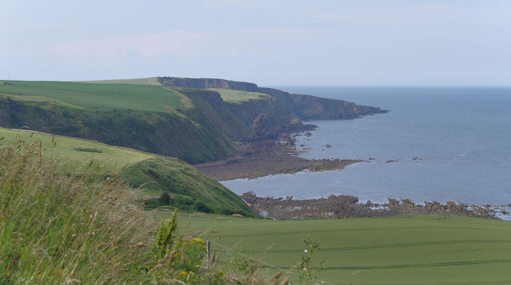 The cove at Burnmouth, seen from a layby on the A1(M).